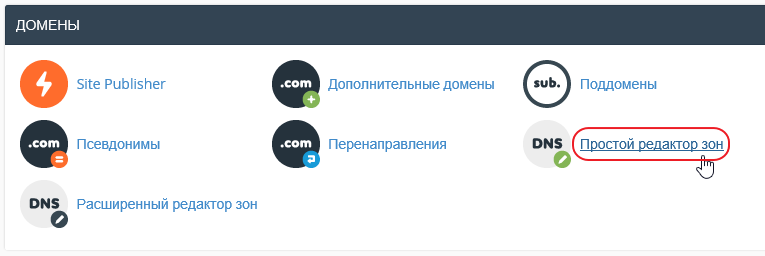 DNS zone editor